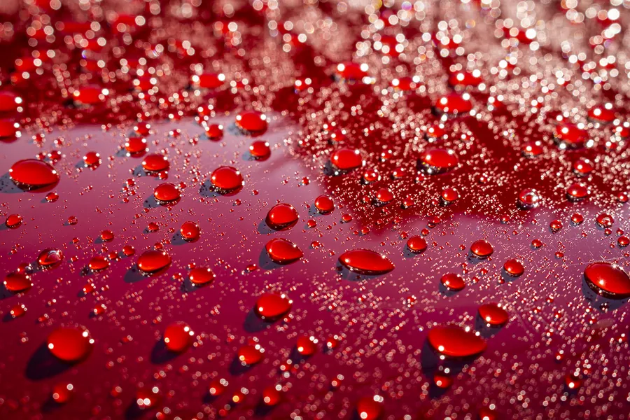 Water beading on a freshly ceramic-coated red vehicle